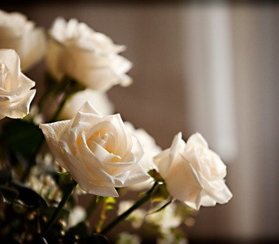 blush roses in a vase at a visitation for a funeral 